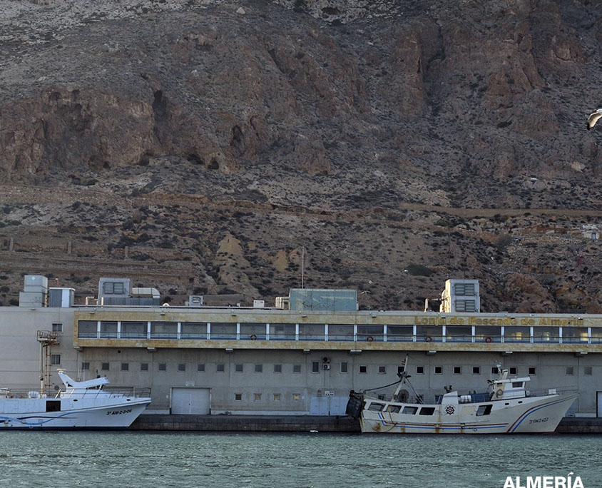 AALII_Arrastre puerto de Almería