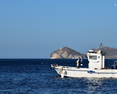 AALII_Moruna Cala Higuera