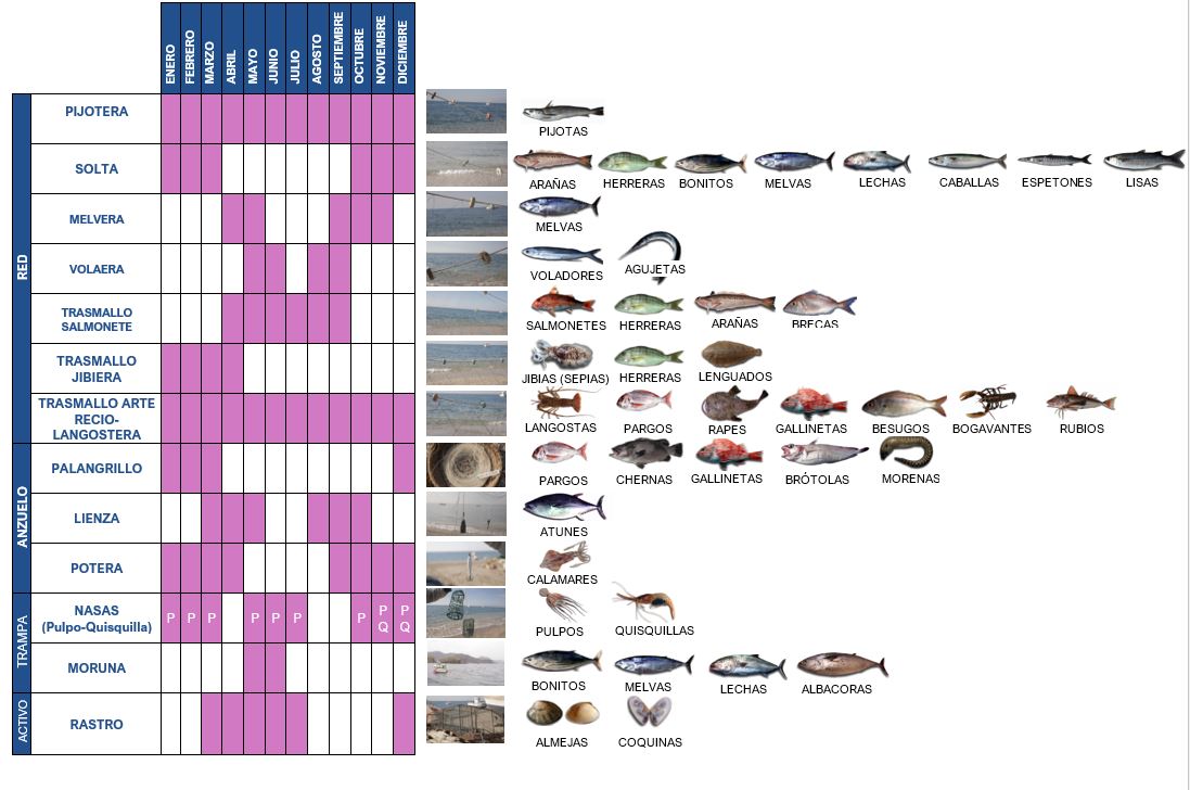 eL CALENDARIO DE LA PESCA